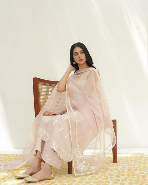 Dusty Pink Full Sleeves Embroidered Dress